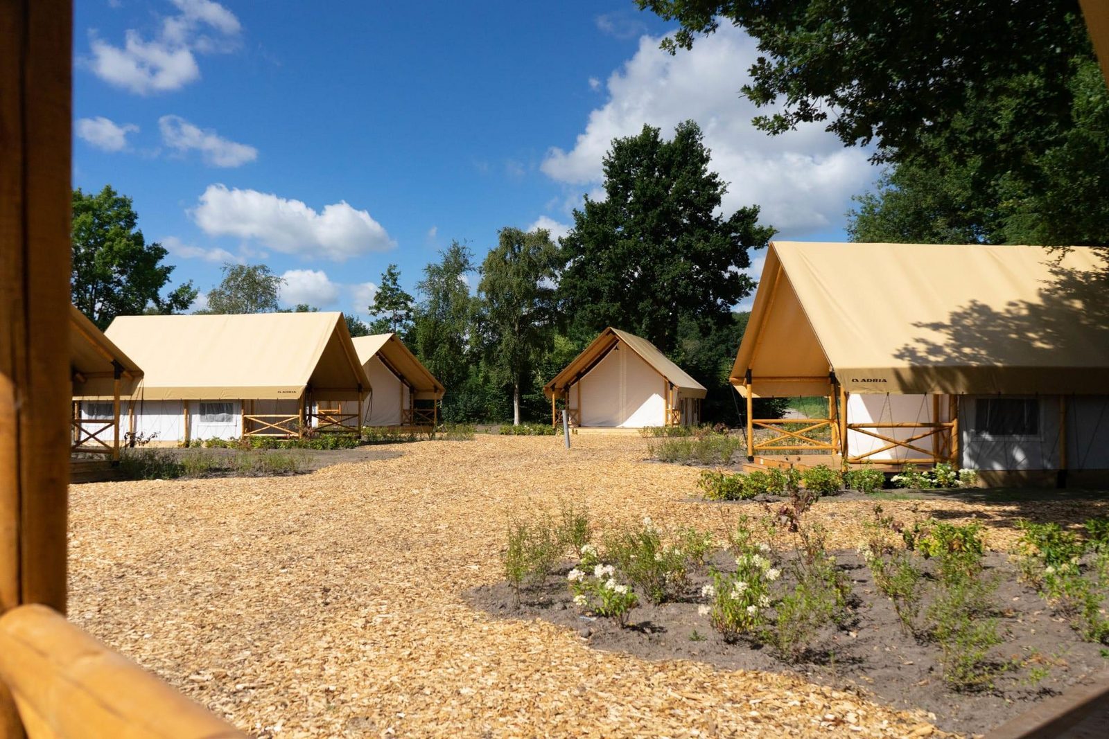 Zilverstrand · Glampingtent Luxe 4 cover