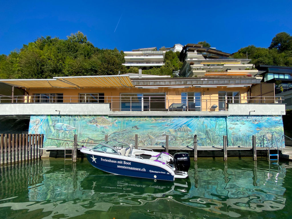 Seestern direkt am See