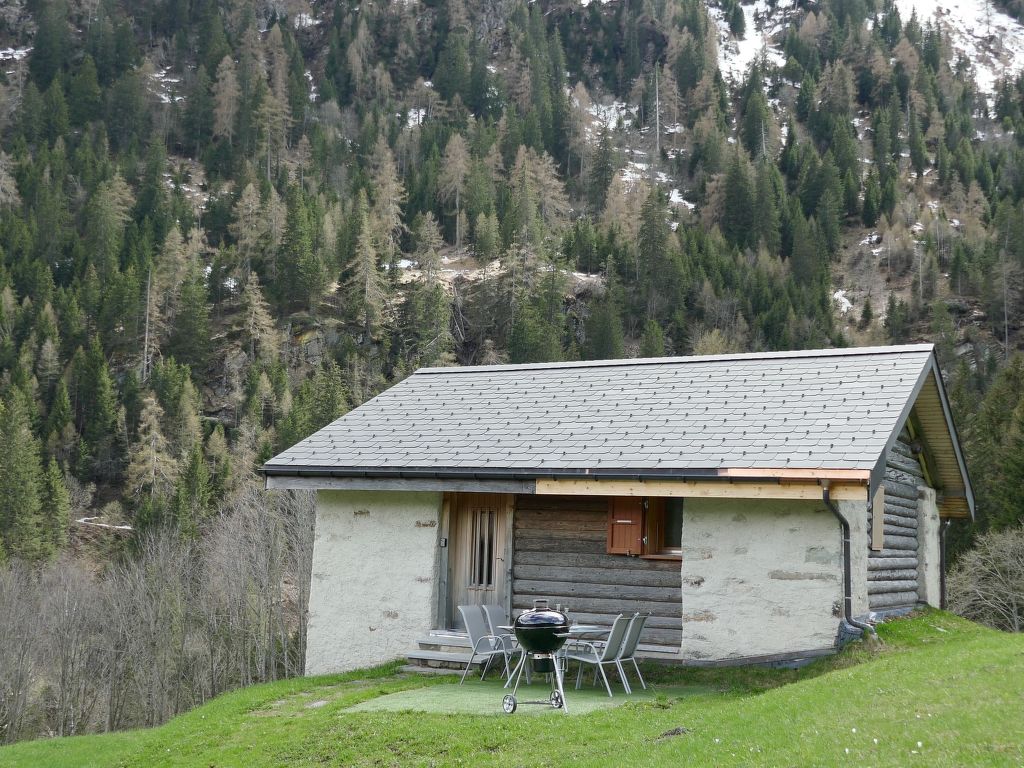 Rustico Carcarida