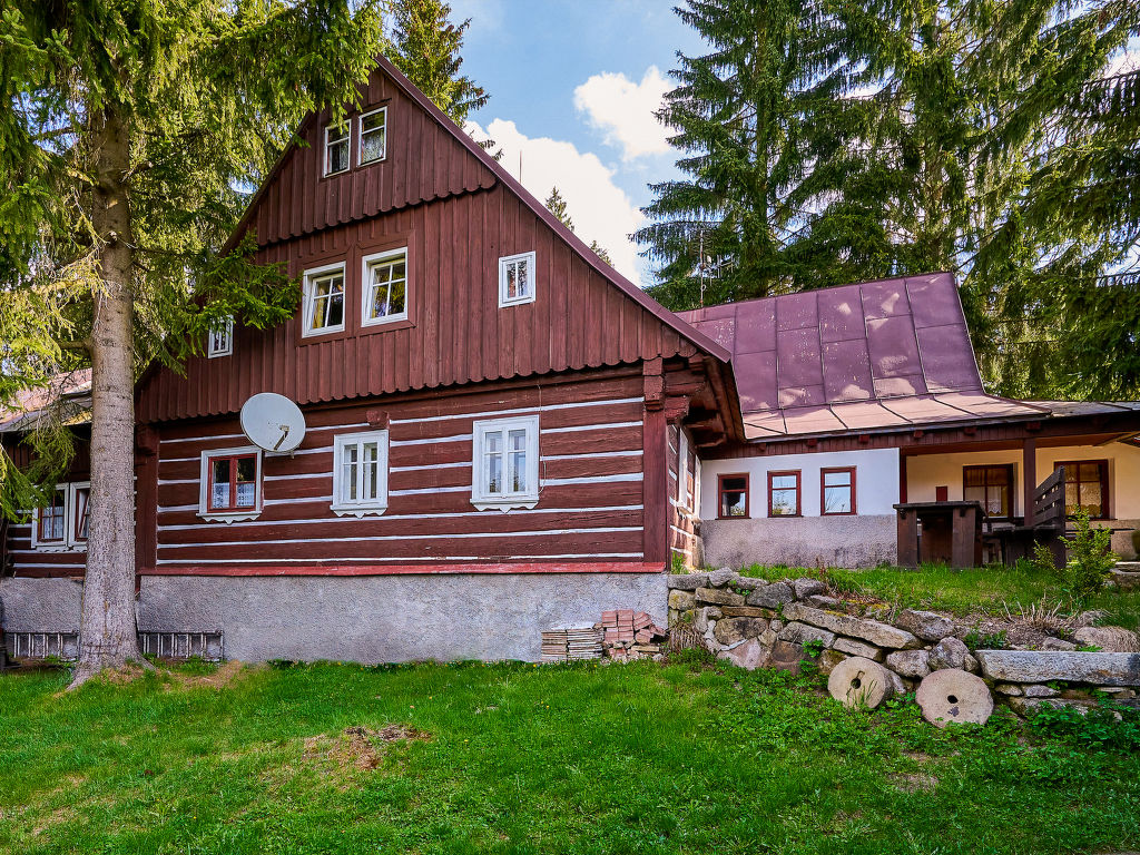 Mountain Serenity & Sauna