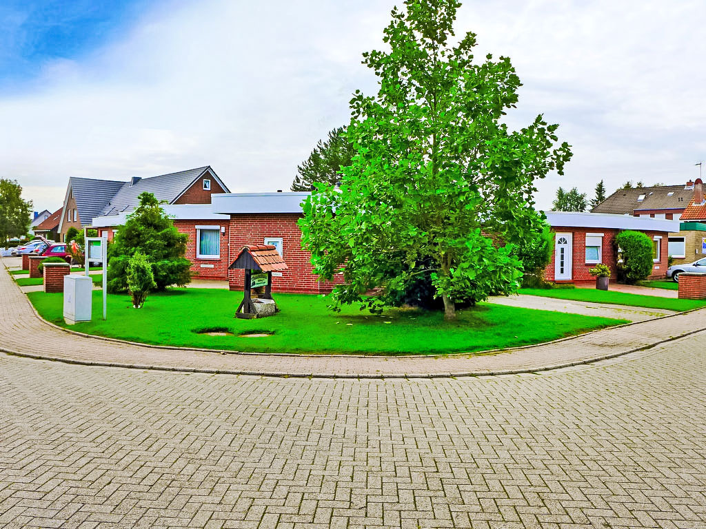 Venusmuschel