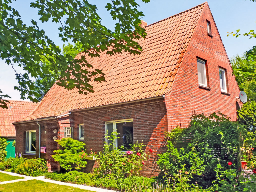 Natur pur am Nordseedeich