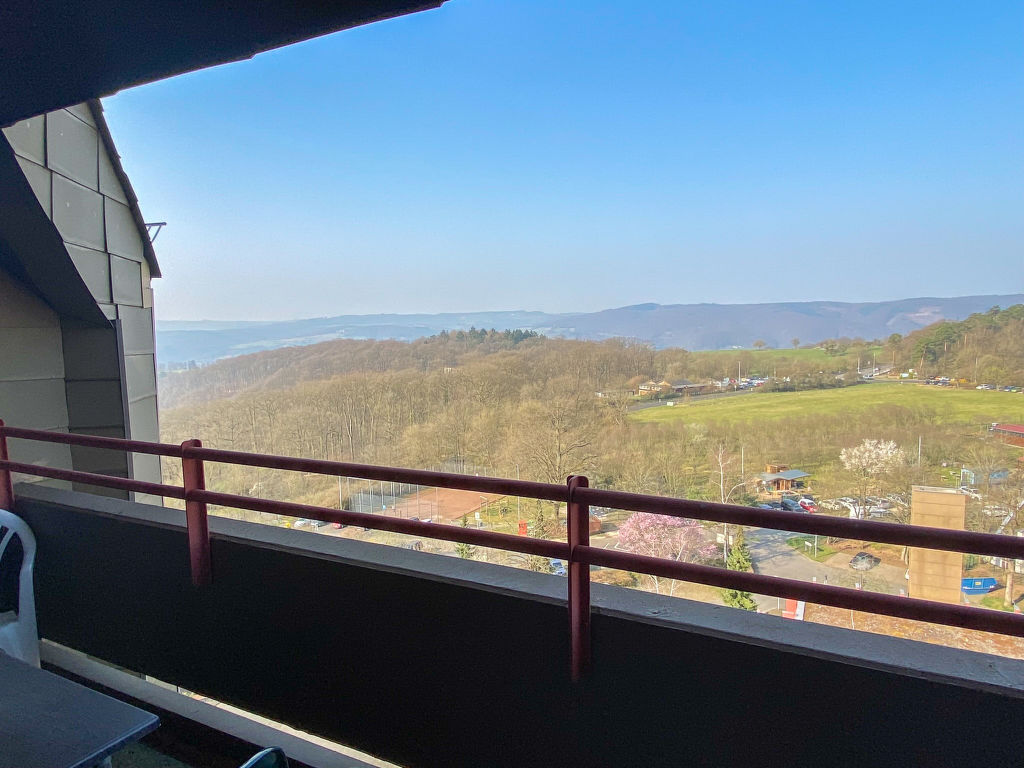 Rheinblick