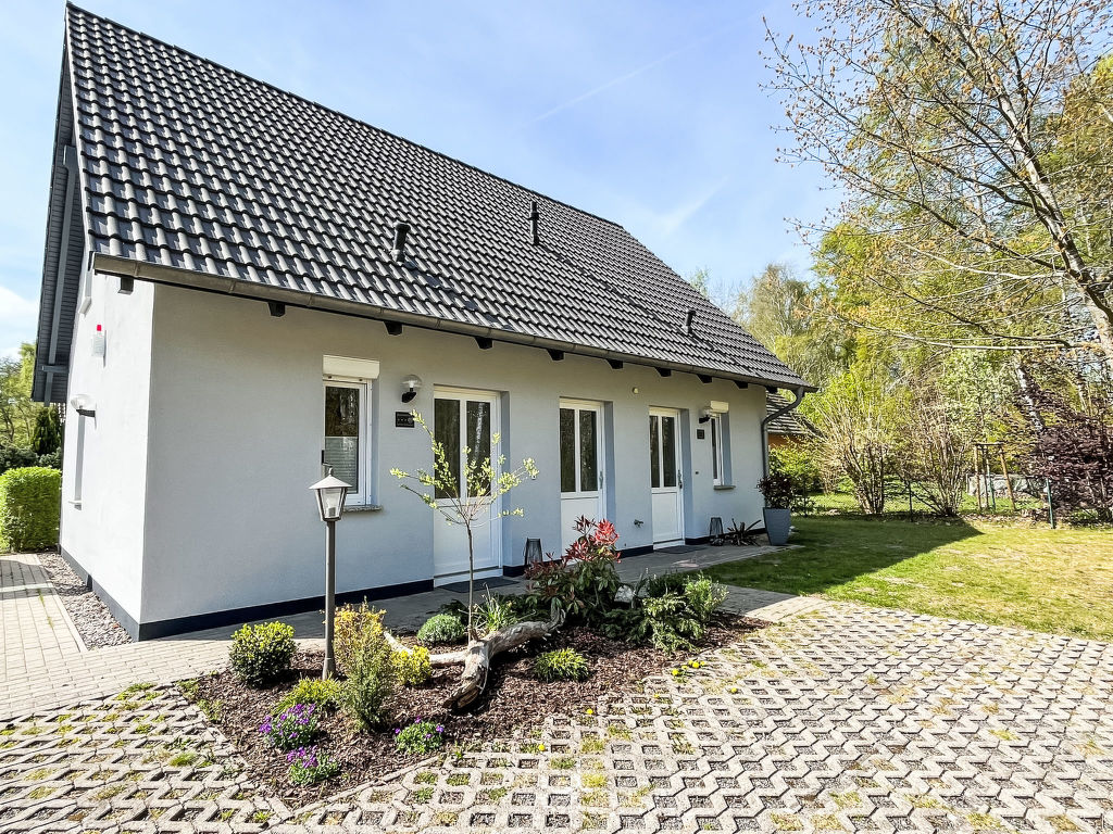 Möwennest