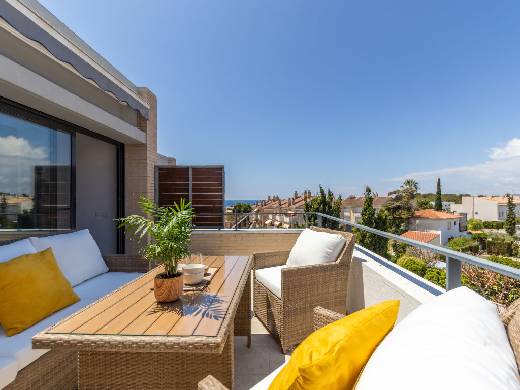 Palmera dels Munts