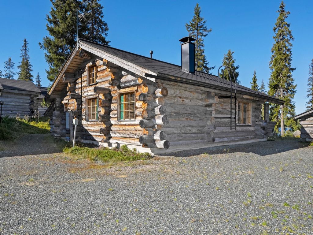 Villa vuosselinjärvi
