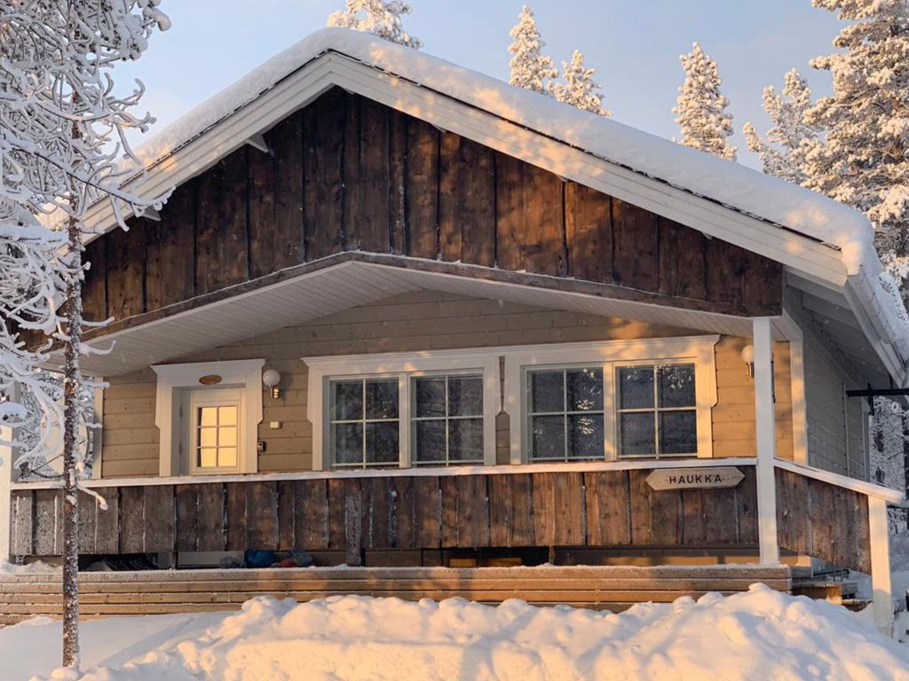 Haukka