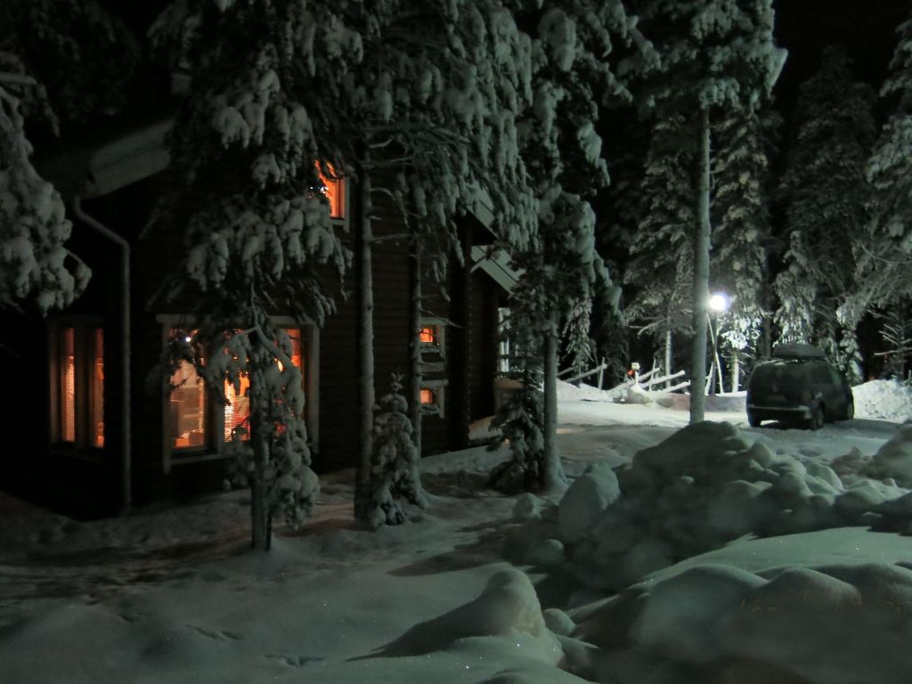 Kevätruska b
