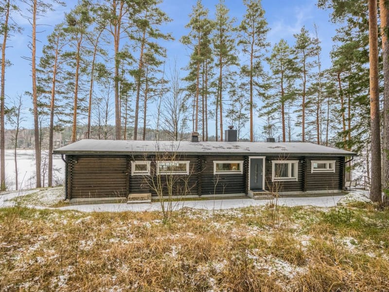 Villa lahnajärvi