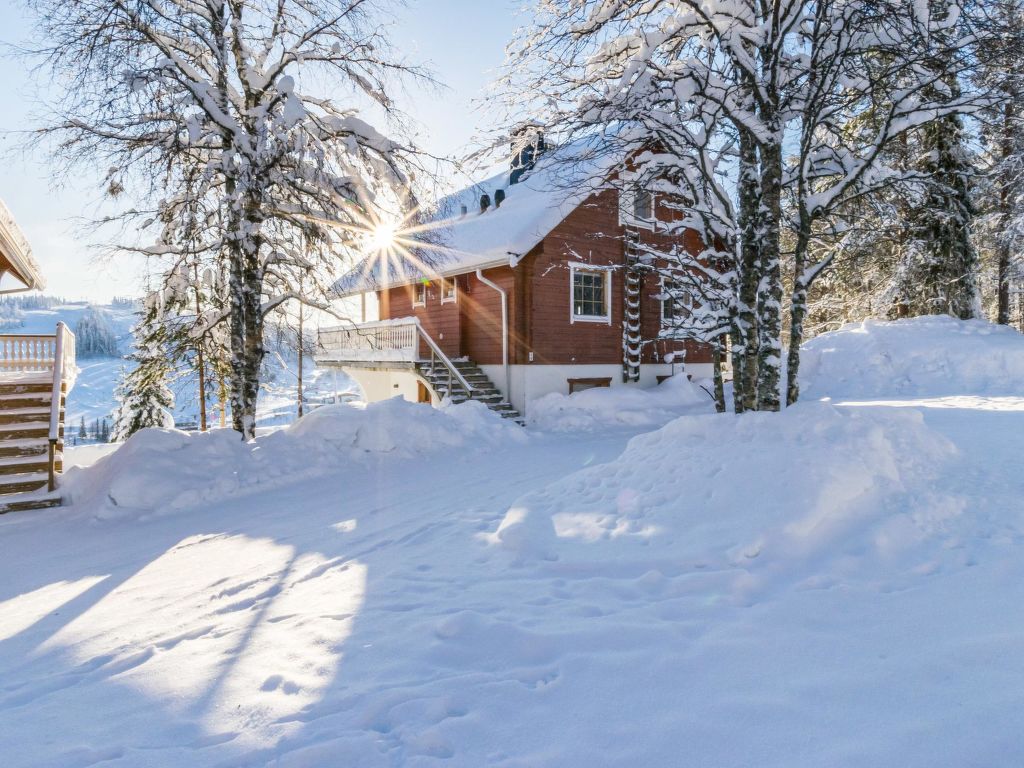 Alppikylä 1a paritalo