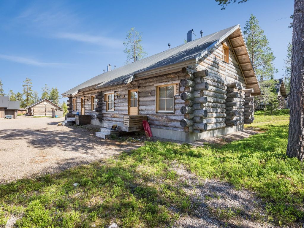 Teerentie / poronpesä