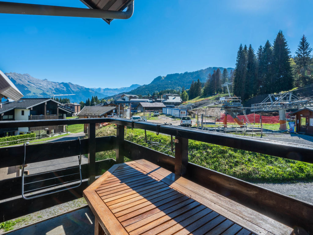 Grand Morillon C