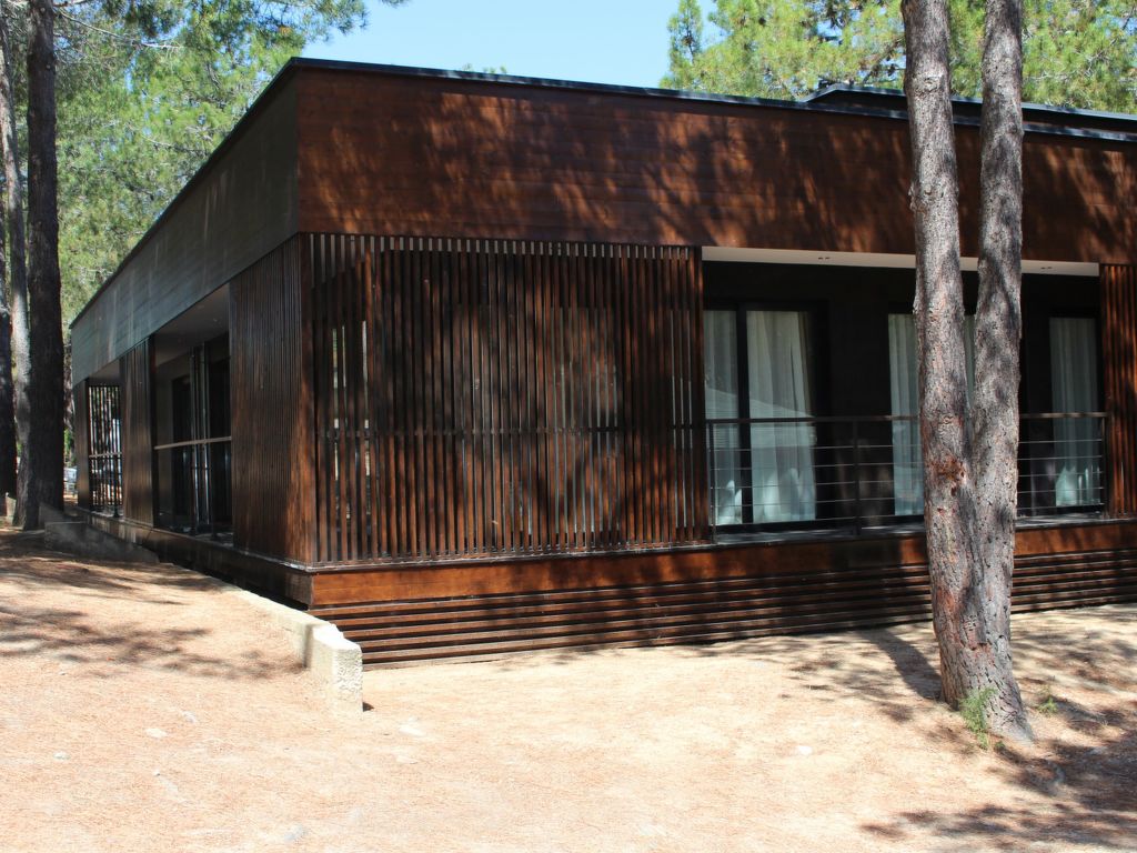 Villa en bois