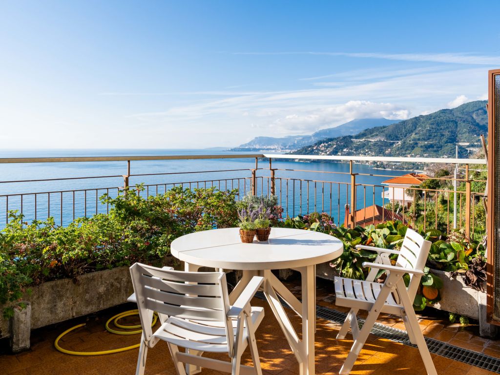 Monte Carlo View