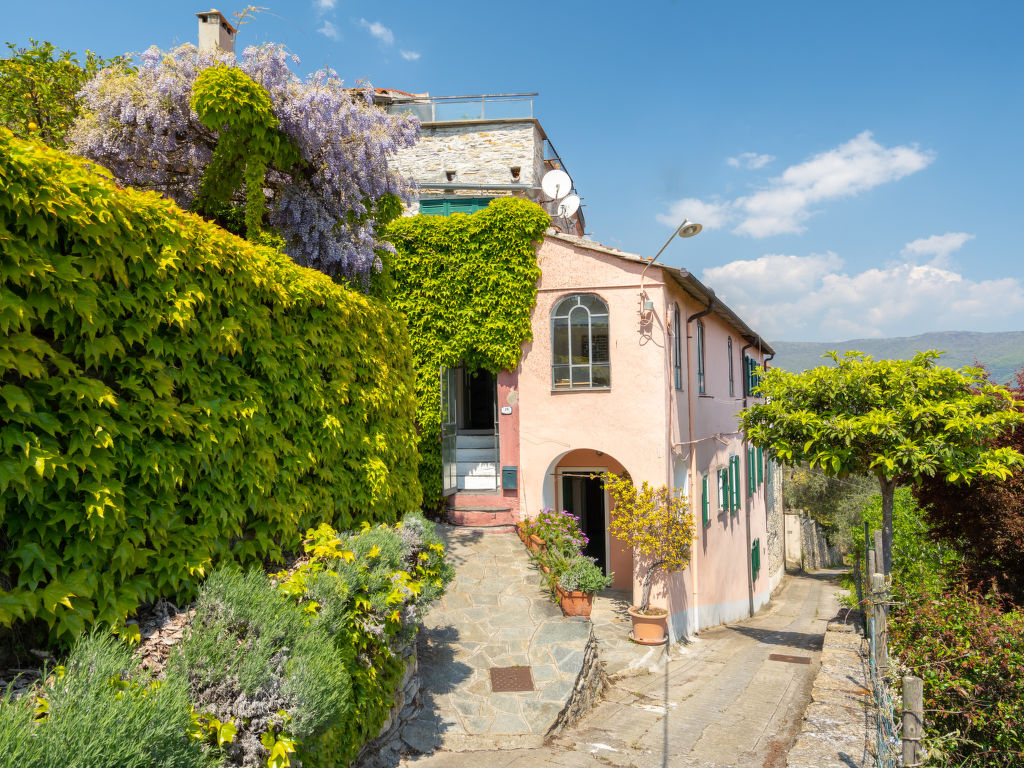 Bellissimi