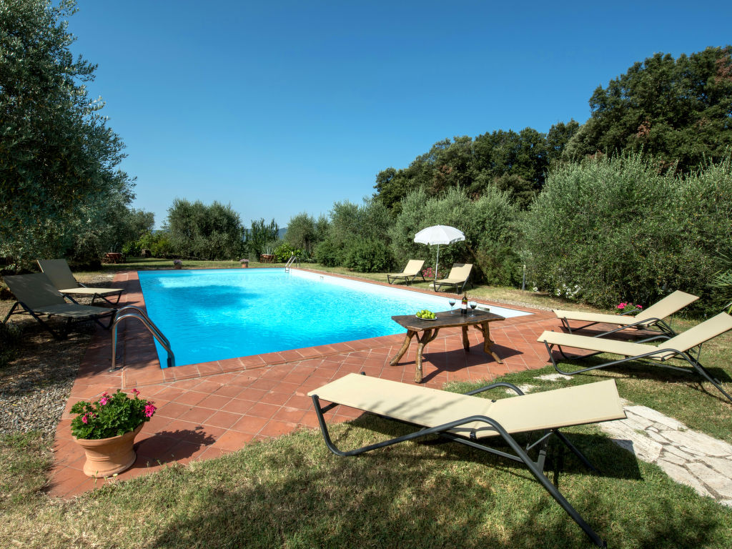 Il Nespolo
