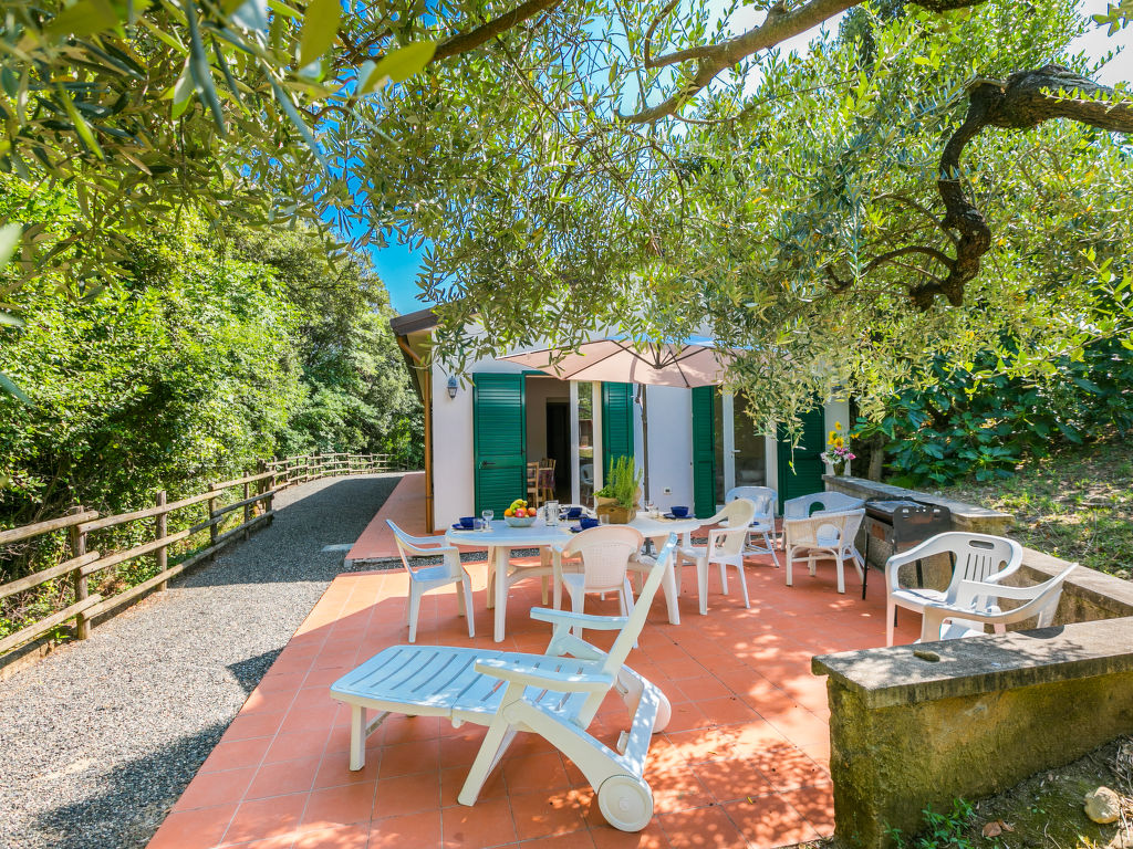 Podere gli Olivi
