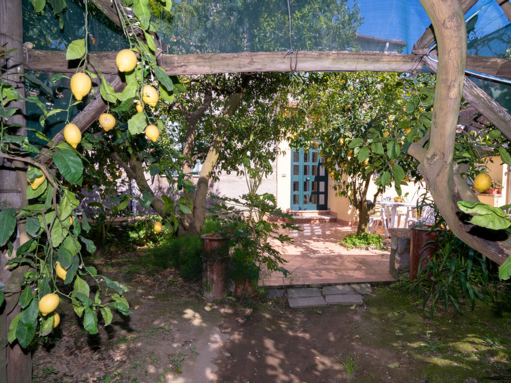 Il Montano