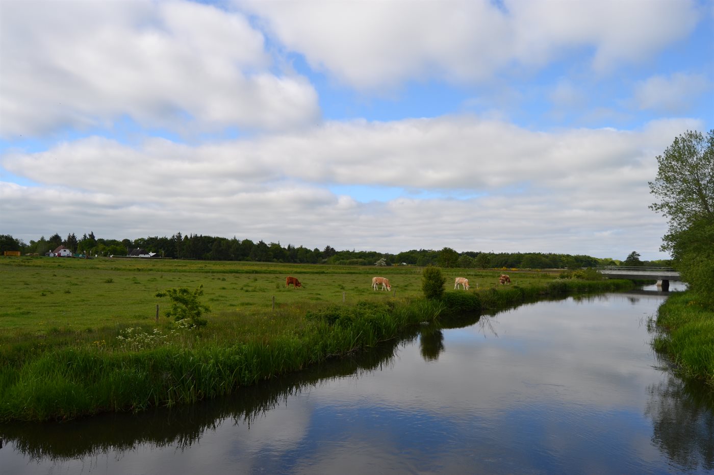 Jedsted Bjergevej 67, Gredstedbro