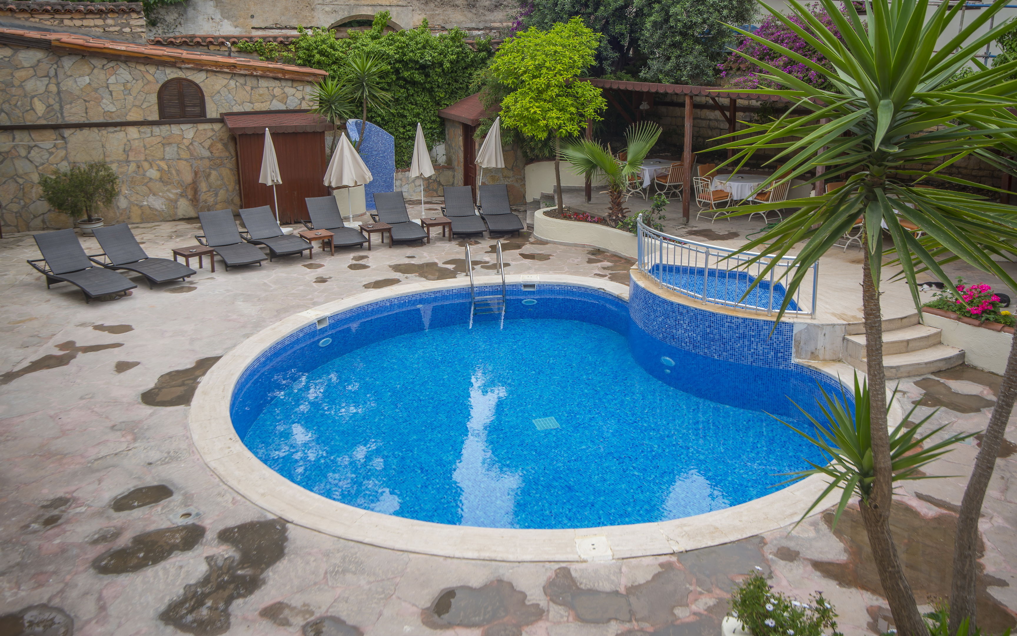 Hotel Argos – Zwembad met palm, Antalya