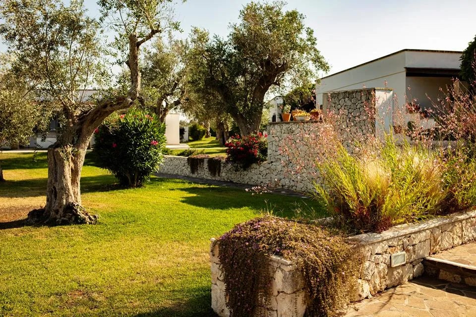 Borgo Mulino a Vento – Tuin met olijfboom, Uggiano la Chiesa