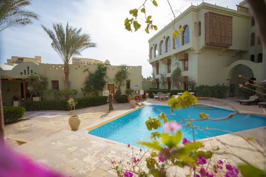 Turtle's Inn Hotel – Zwembad met palmen, El Gouna