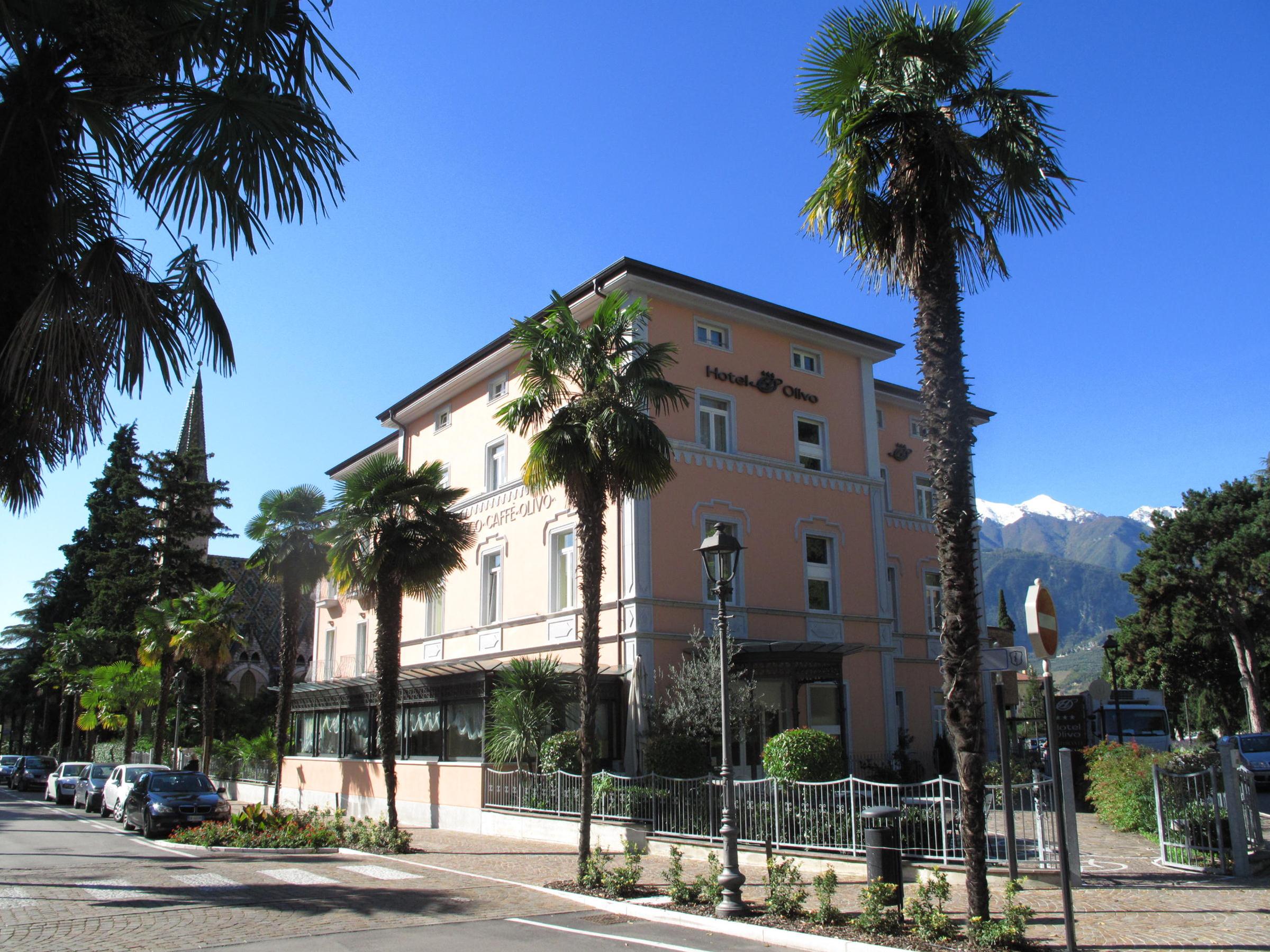 Residence Olivo – Hotel met palmen, Garda