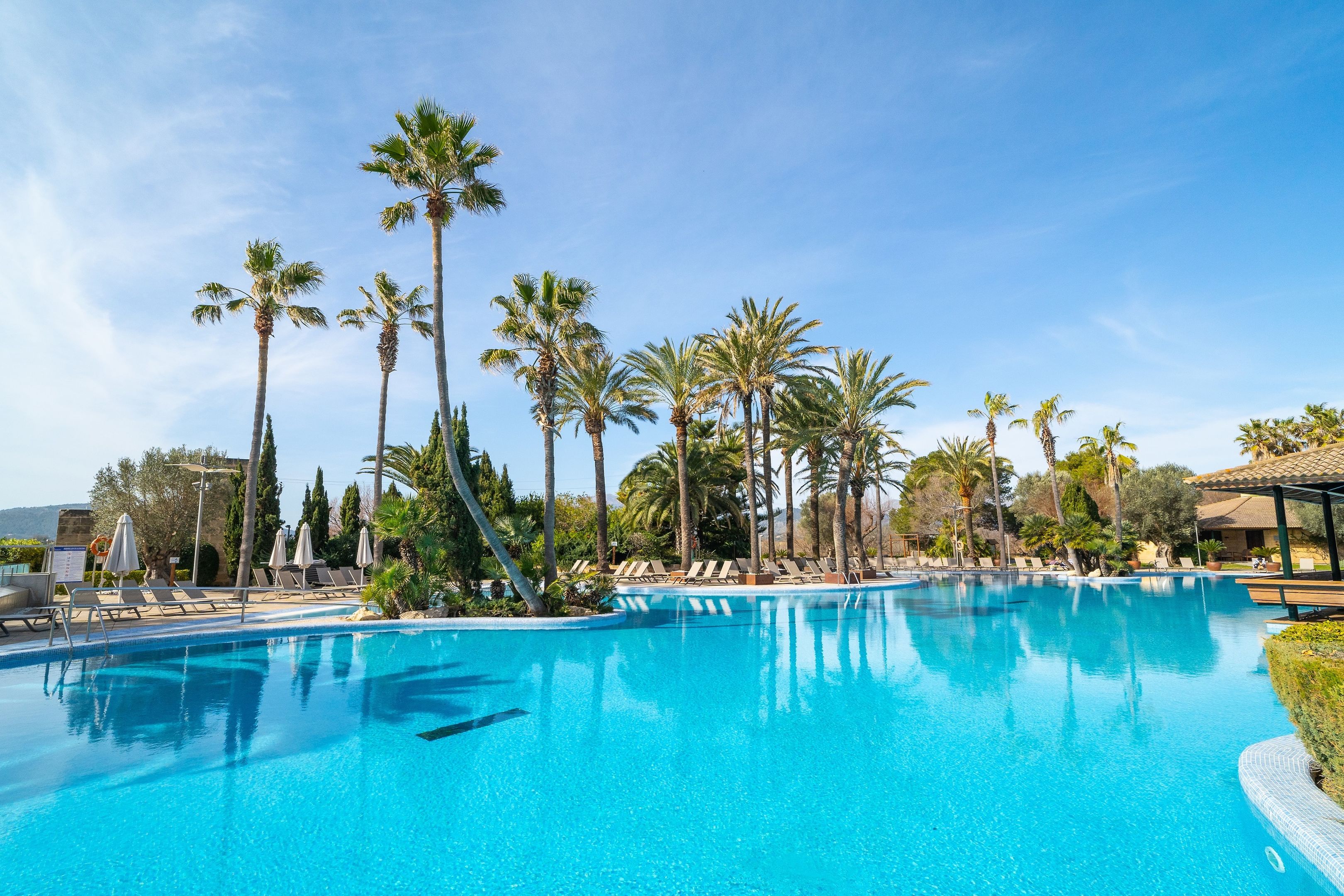 PortBlue Club Pollentia Resort & Spa – Zwembad met palmen, Alcudia