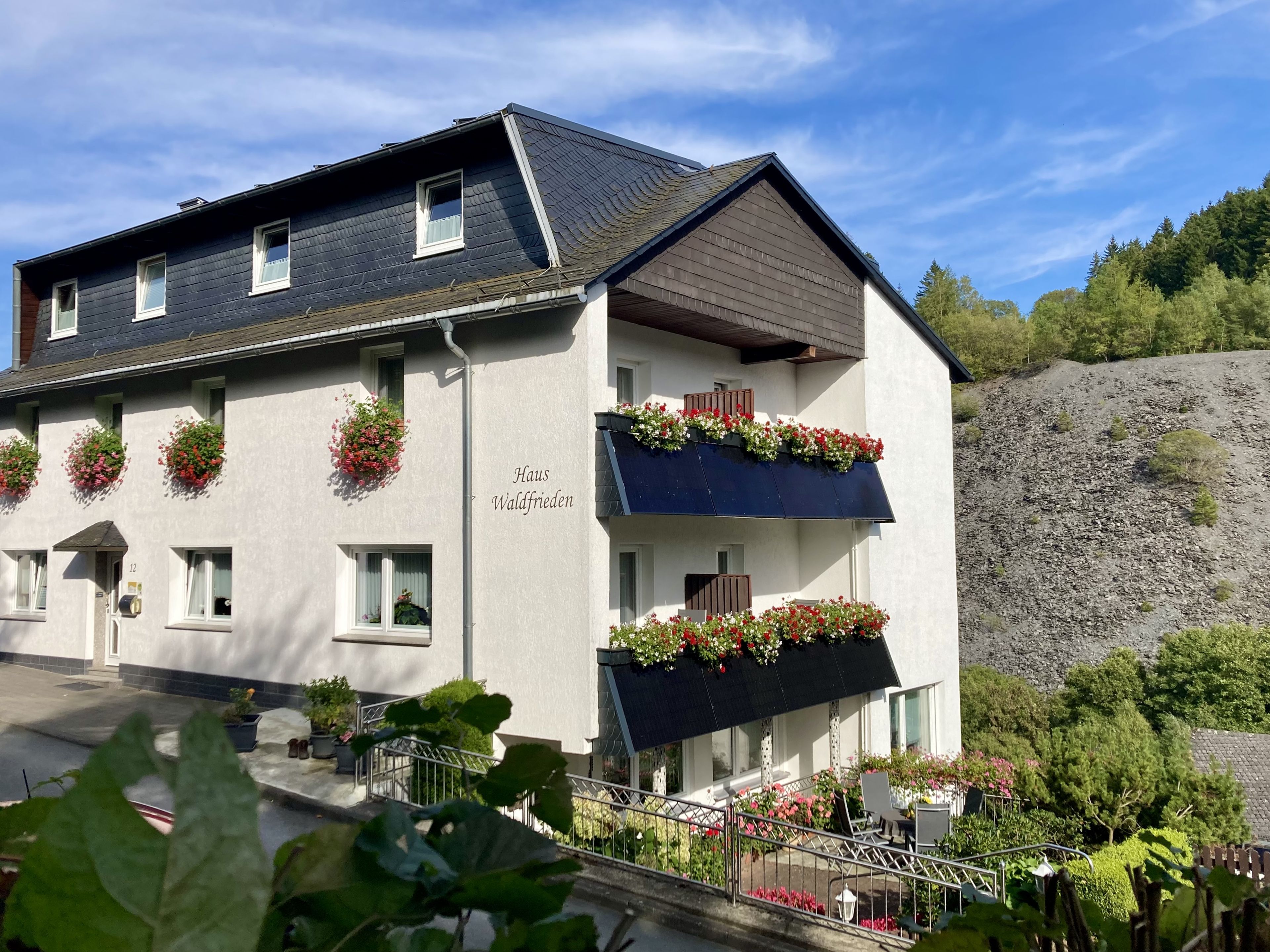 Pension Haus Waldfrieden cover
