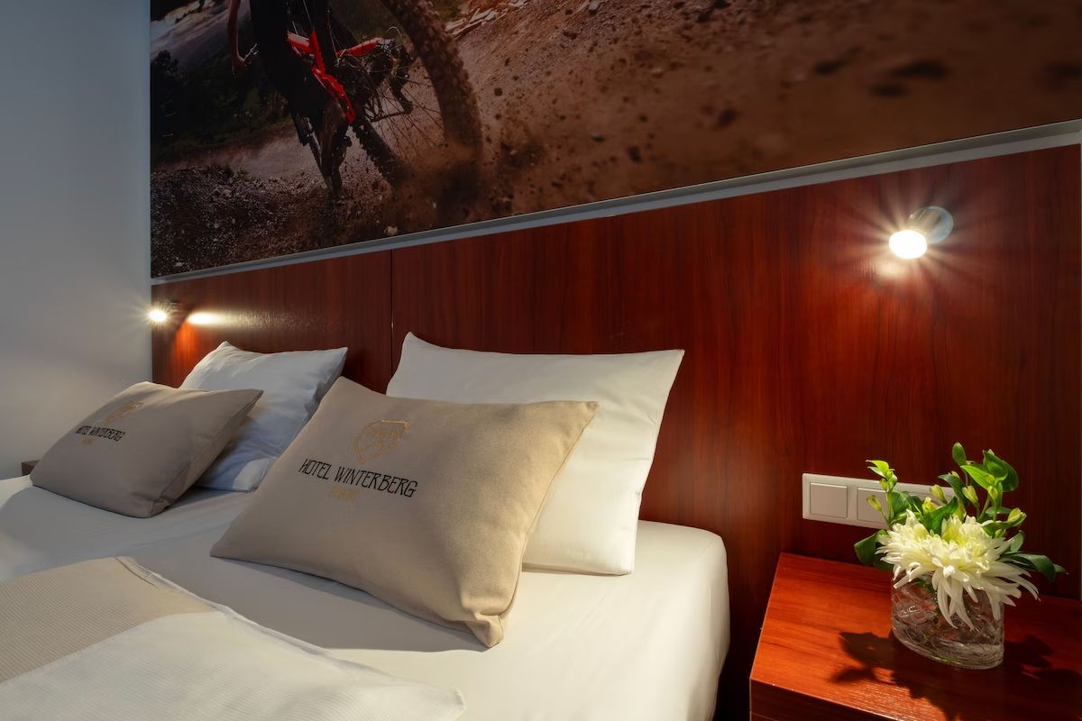 Hotel Winterberg Resort cover