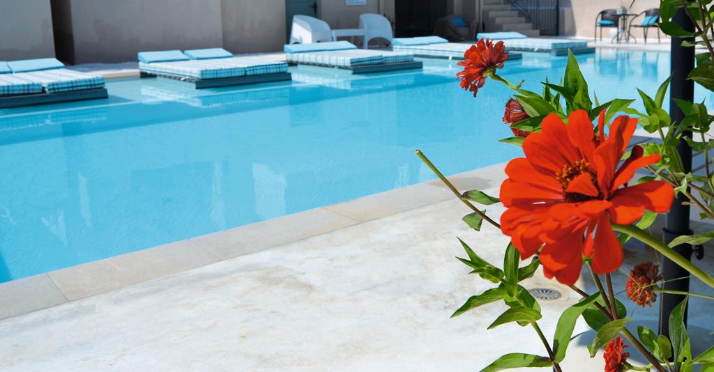 Villa Olga Lounge Hotel – Zwembad met bloem, Ligia