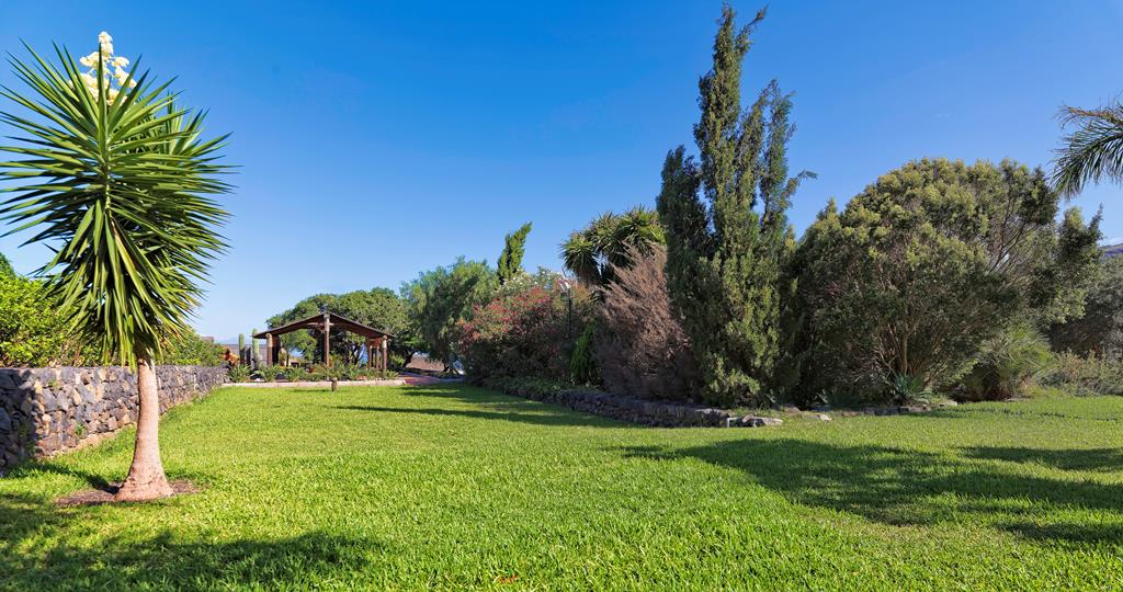 Finca Salamanca – Tuin met gras, Güímar