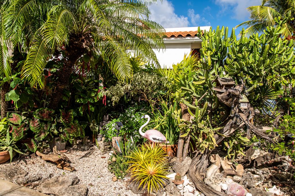 Hamlet Oasis – Tropische tuin, Kralendijk