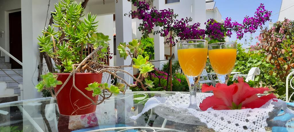 Maria – Jus op terras, Kokkari