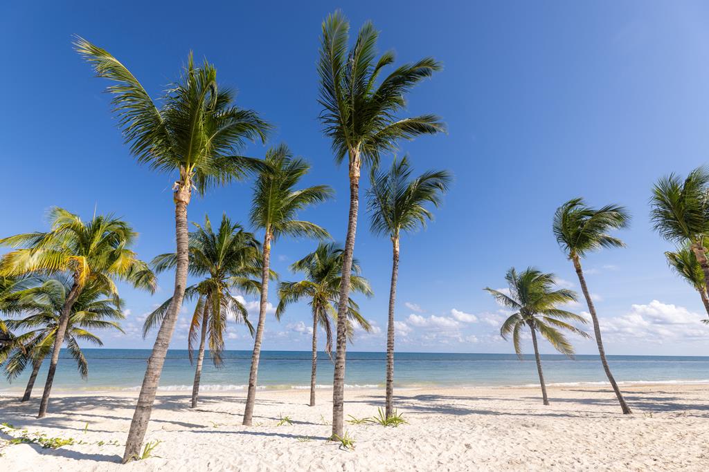 Royalton Riviera Cancun – Strand met palmen, Puerto Morelos