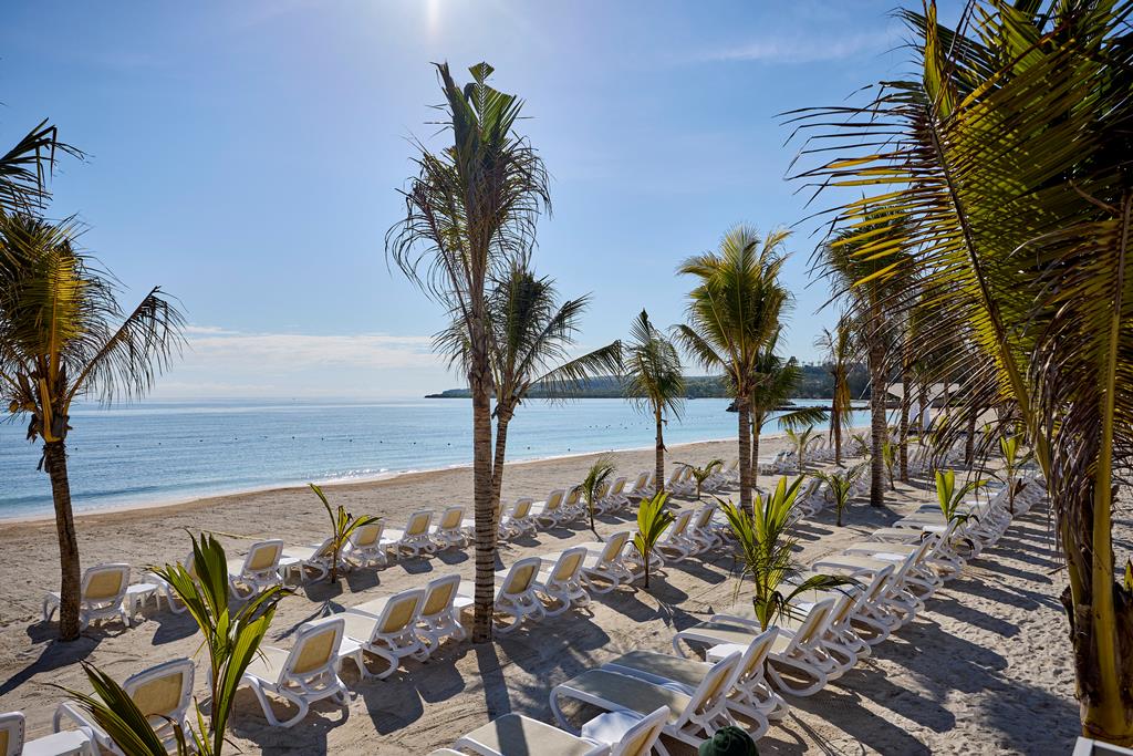 Riu Palace Aquarelle – Strand met palmen, Falmouth