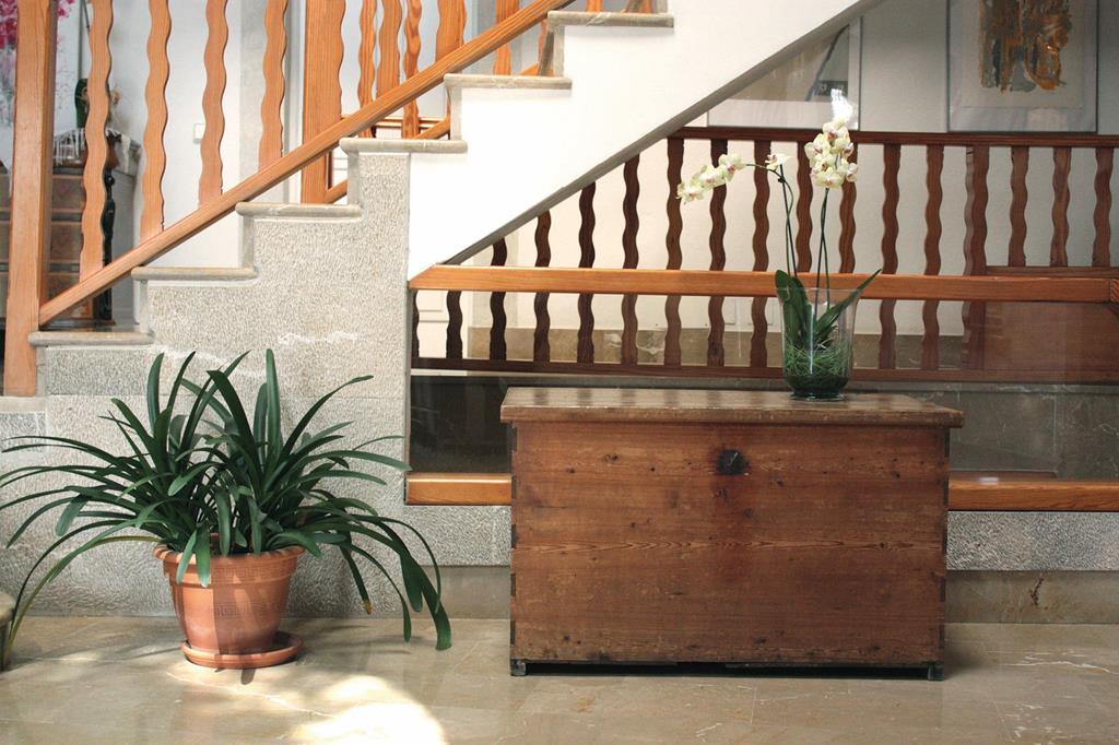 Es Baulo Petit – Trap met plant, Can Picafort