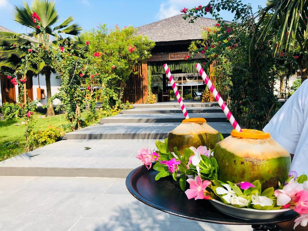 Barefoot Eco Hotel – Cocktail met kokosnoot, Hanimaadhoo