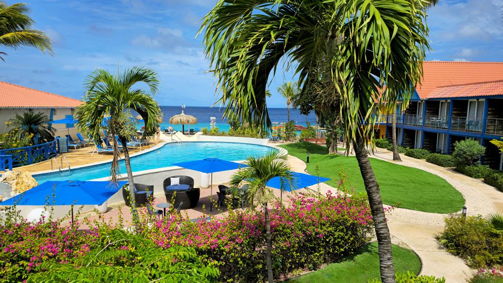 Divi Flamingo Beach Resort – Zwembad met palmen, Kralendijk