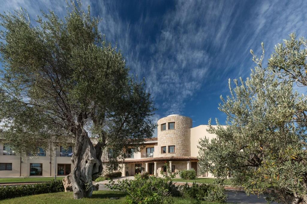 Terra di Mare – Gevel met olijfbomen, San Teodoro