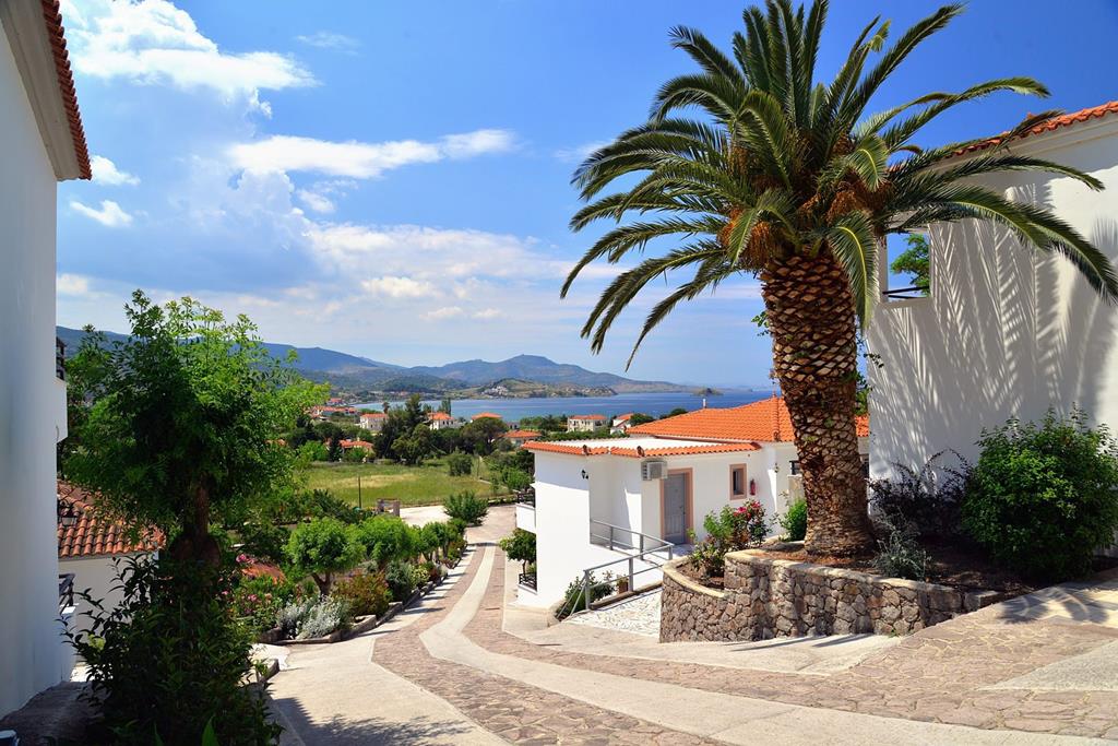 Panorama Hotel – Palm met uitzicht, Petra