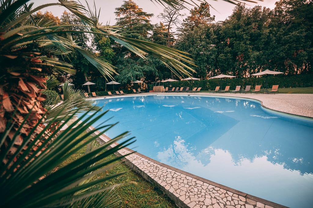 Resort Borgo di Colleoli – Zwembad met palm, Palaia