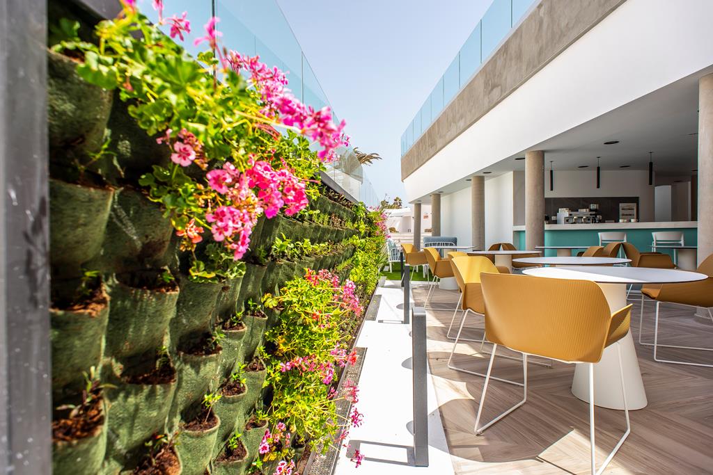 Taimar – Terras met bloemen, Costa Calma