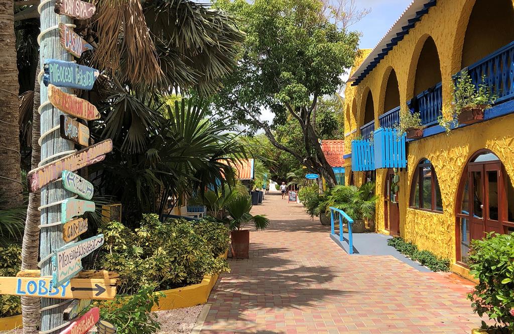 Divi Flamingo Beach Resort – Kleurrijk pad, Kralendijk