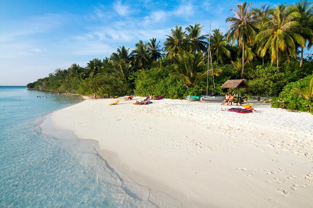 Embudu Village – Strand met palmen, Zuid Male Atol