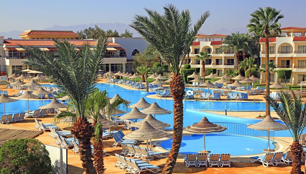 Jaz Palmariva Beach Resort – Zwembad onder palmen, Makadi Bay