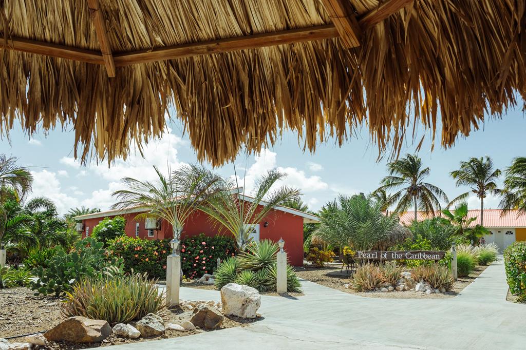 The Pearl of the Caribbean – Tuin met pad, Willemstad