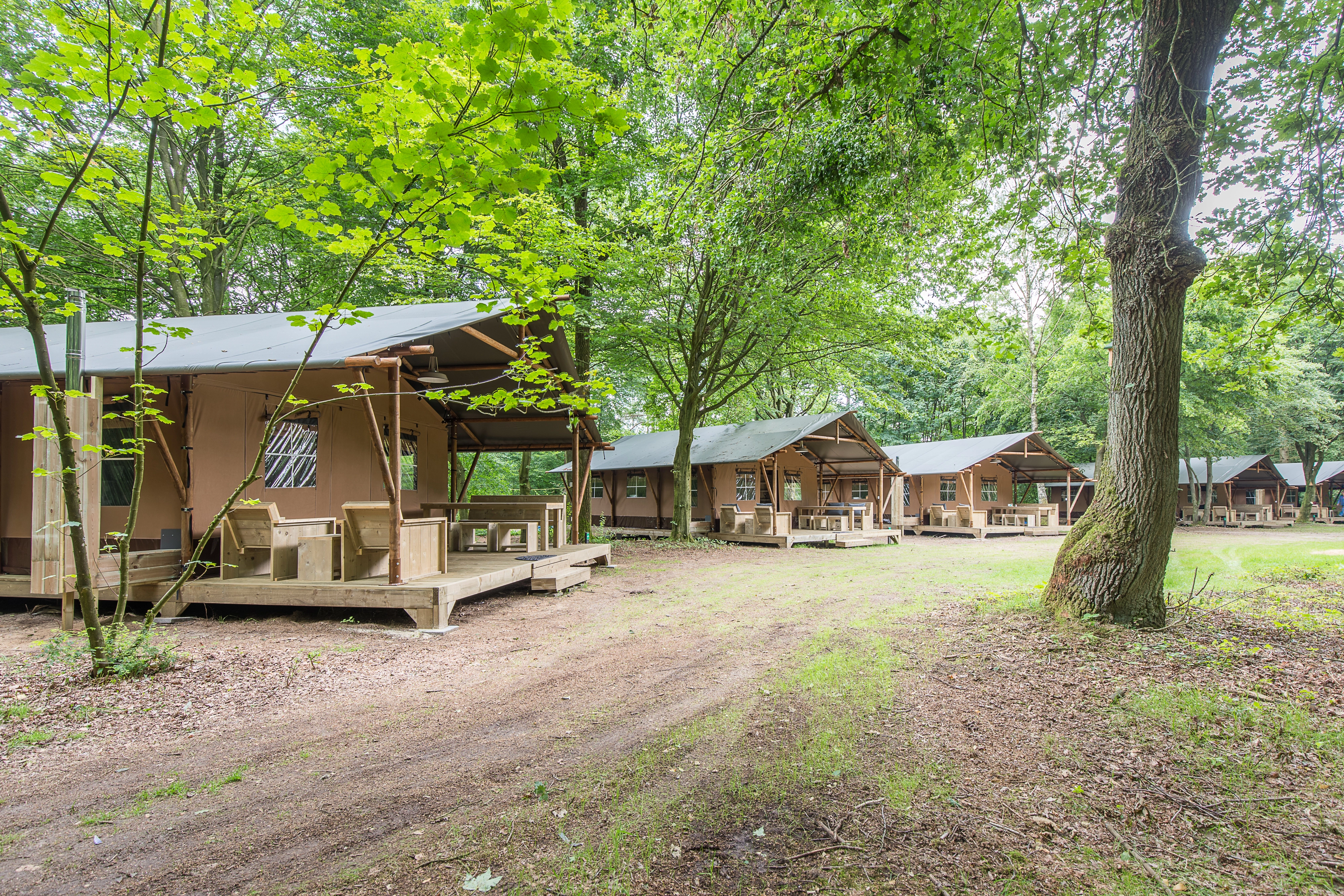 Landal Grevenhout 21 - 6-persoons safaritent