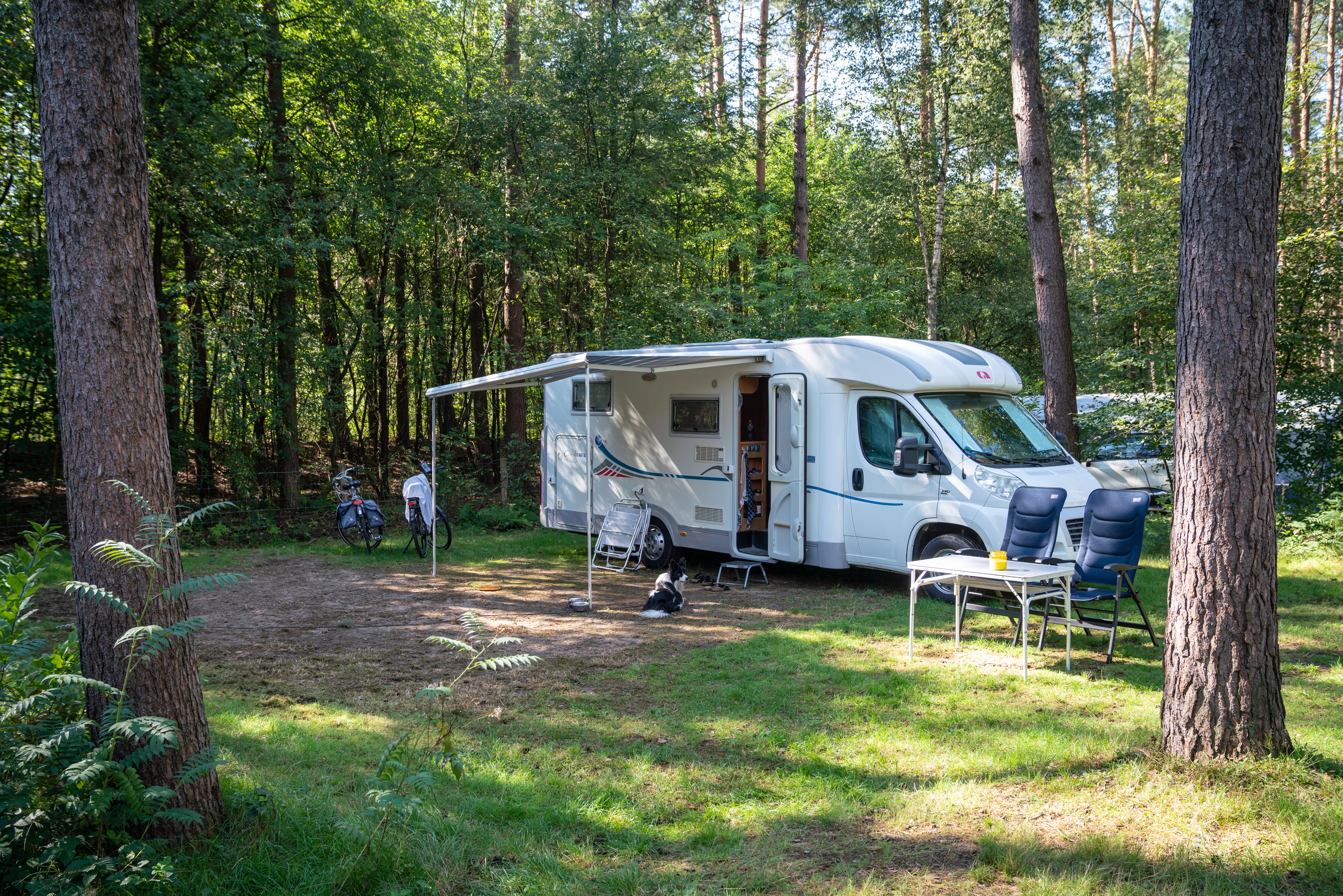Landal Boshoffweg 6 - Basis campingplaats