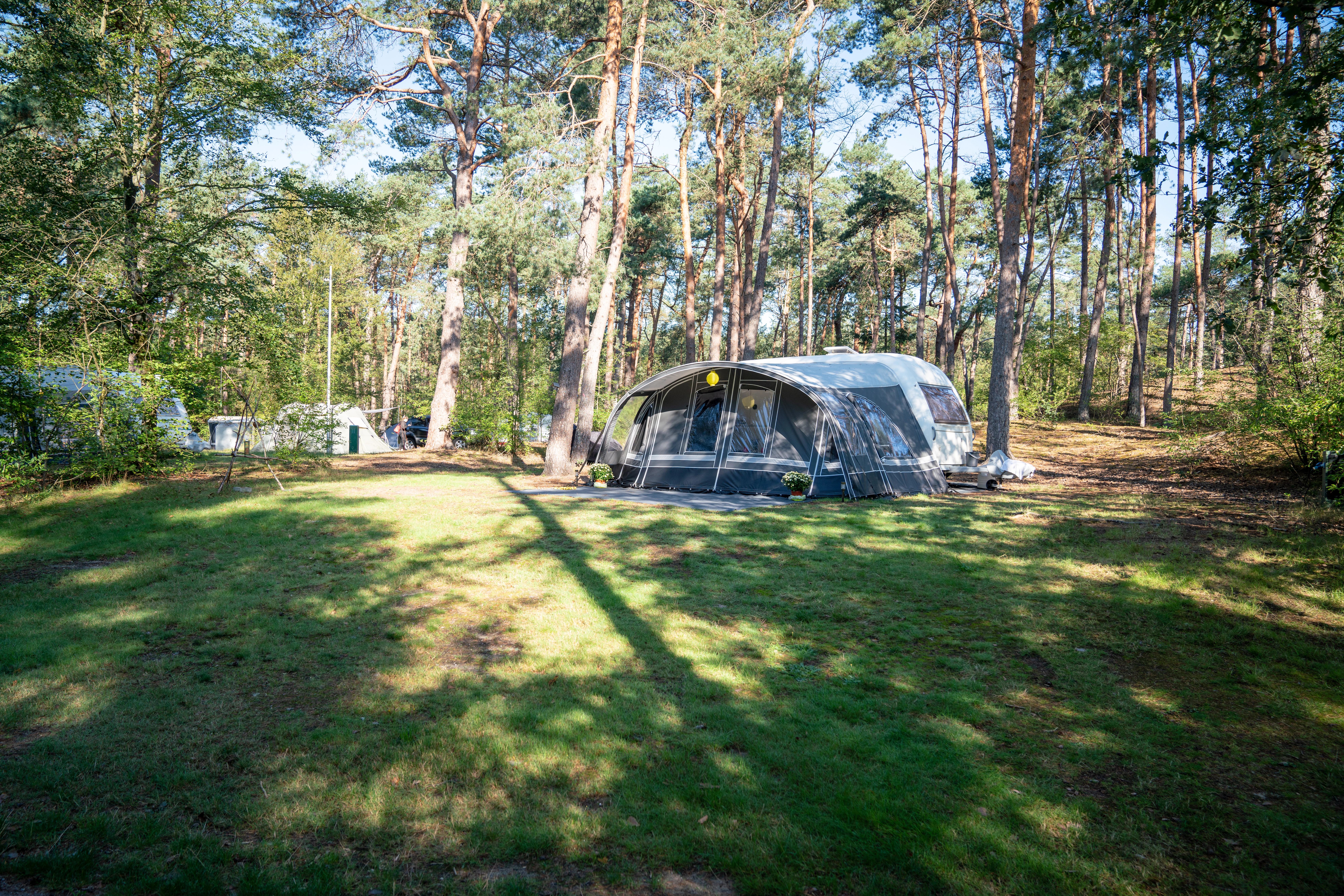 Landal Boshoffweg 6 - Comfort campingplaats
